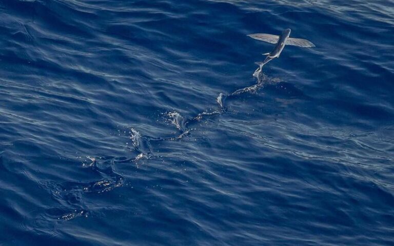 【Forbes JAPAN】注目のディープテックスタートアップ10選に選出