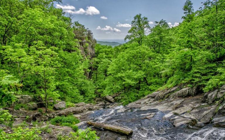 【化学工業日報】液体肥料の新展開、廃棄有機物から高機能製品へ