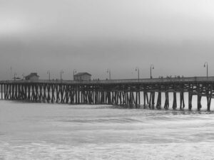 qNTA by QuantarisLab — ソフトウェアワークフローガイド