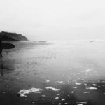 ノンターゲット分析とは何か？分析化学の新潮流をやさしく解説